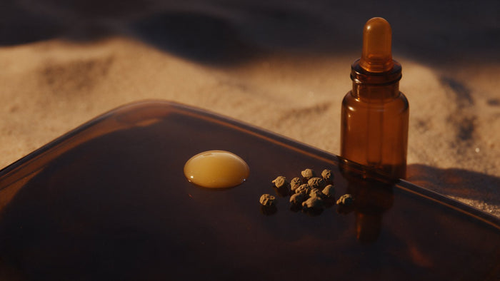 Retinal, Retinol & Bakuchiol