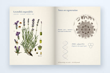 Open lab journal with botanical plate, diatom and DNA notes: a guide to navigating Skincare Lab
