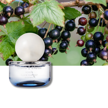 Rose & Black Currant Eau de Parfum - Skincare Lab