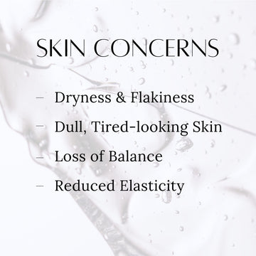 Dermal Elixir Moisturizing Treatment Sheet Mask - Skincare Lab