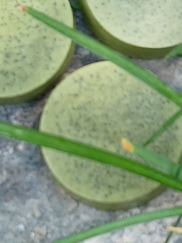 Moringa Soap Bar