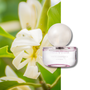 White Champaca Eau de Parfum - Skincare Lab