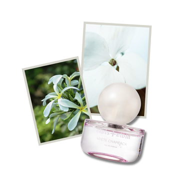 White Champaca Eau de Parfum - Skincare Lab