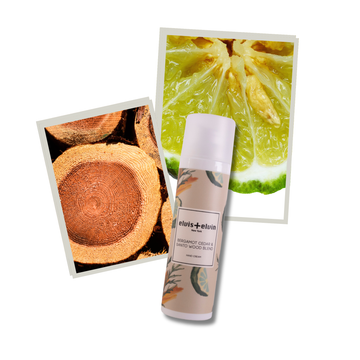 Bergamot Cedar & Santo Wood Fragrance Hand Cream - Skincare Lab