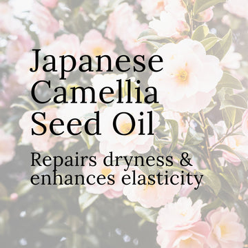 Rose of Winter Body Oil - Skincare Lab