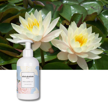 Rose & Water Lily Hand & Body Lotion - Skincare Lab