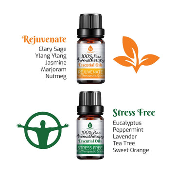 6 Pack of 100% Pure Essential Aromatherapy Oils Blends - Skincare Lab