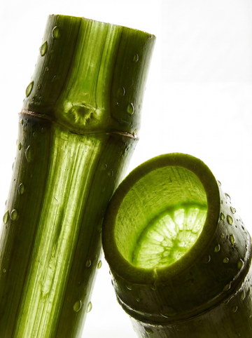Bamboo Eau de Parfum - Skincare Lab
