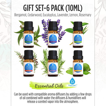 6 Pack of 100% Pure Essential Aromatherapy Oils - Skincare Lab