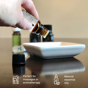 Aromatherapy Lovers – Triple 14-Pack Essential Oils Collection - Skincare Lab
