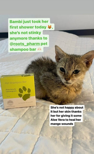 Pet Shampoo Bar - Skincare Lab
