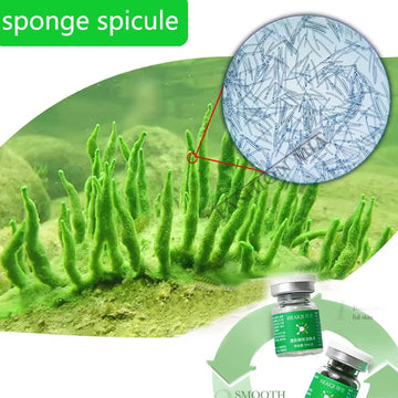 Sponge Microcrystal Freeze-dried Powder Collagen Regeneration Natural Biological Extract Sponge Spicules Skin Cell Renew