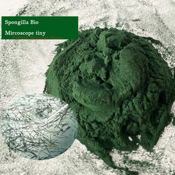 Sponge Microcrystal Freeze-dried Powder Collagen Regeneration Natural Biological Extract Sponge Spicules Skin Cell Renew