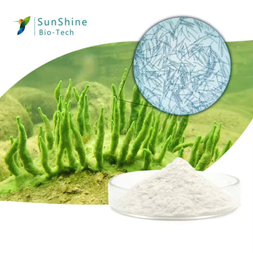 Sponge Microcrystal Freeze-dried Powder Collagen Regeneration Natural Biological Extract Sponge Spicules Skin Cell Renew