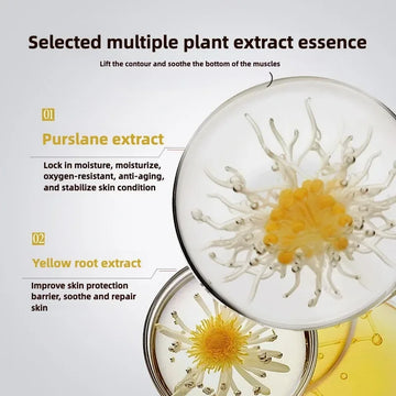 High End Anti-Wrinkle Face Skin care Serum Fade Fine Lines Facial Moisturizing Brightning Anti Aging Firming Skin Care Essence