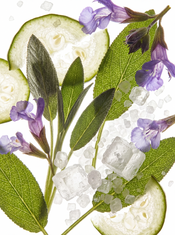 Sage & Sea Salt Eau de Parfum - Skincare Lab