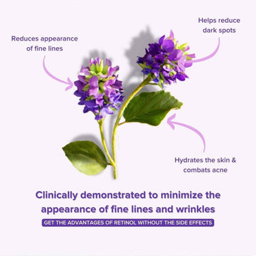 Anti-Aging Bakuchiol Eye Serum - Retinol Alternative - Skincare Lab