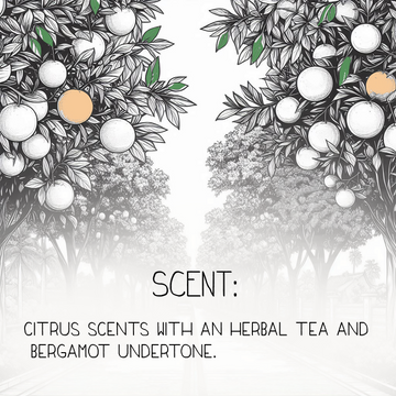 Citrus Sunday Natural Body Lotion - Skincare Lab