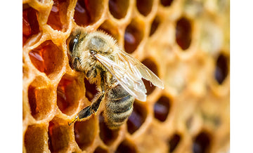 Yadah Moisturizing Mask Pack 25g-3