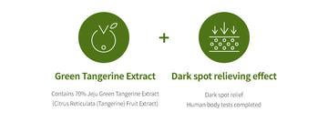 Goodal Green Tangerine Vita C Dark Spot Care Serum Sheet Mask 28g-2