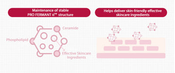 MISSHA Time Revolution The First Essence 5X 150ml