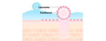 Dr.G Royal Black Snail First Essence 165ml