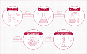 MISSHA Time Revolution The First Essence Lotion 5X 130ml