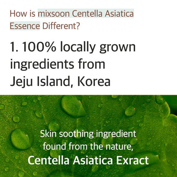 mixsoon Soondy Centella Asiatica Essence 100ml