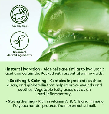 Mild & Moisture Aloe Vera Foam Cleanser