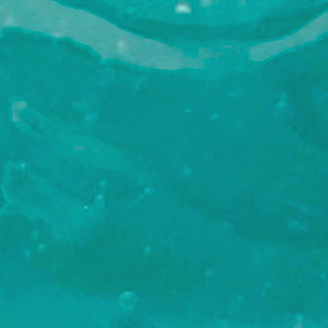 Ocean Jelly Glow Bright Mask